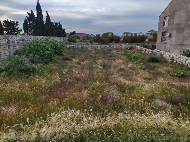 Satılır Torpaq 8 sot Türkan - şəkil 3