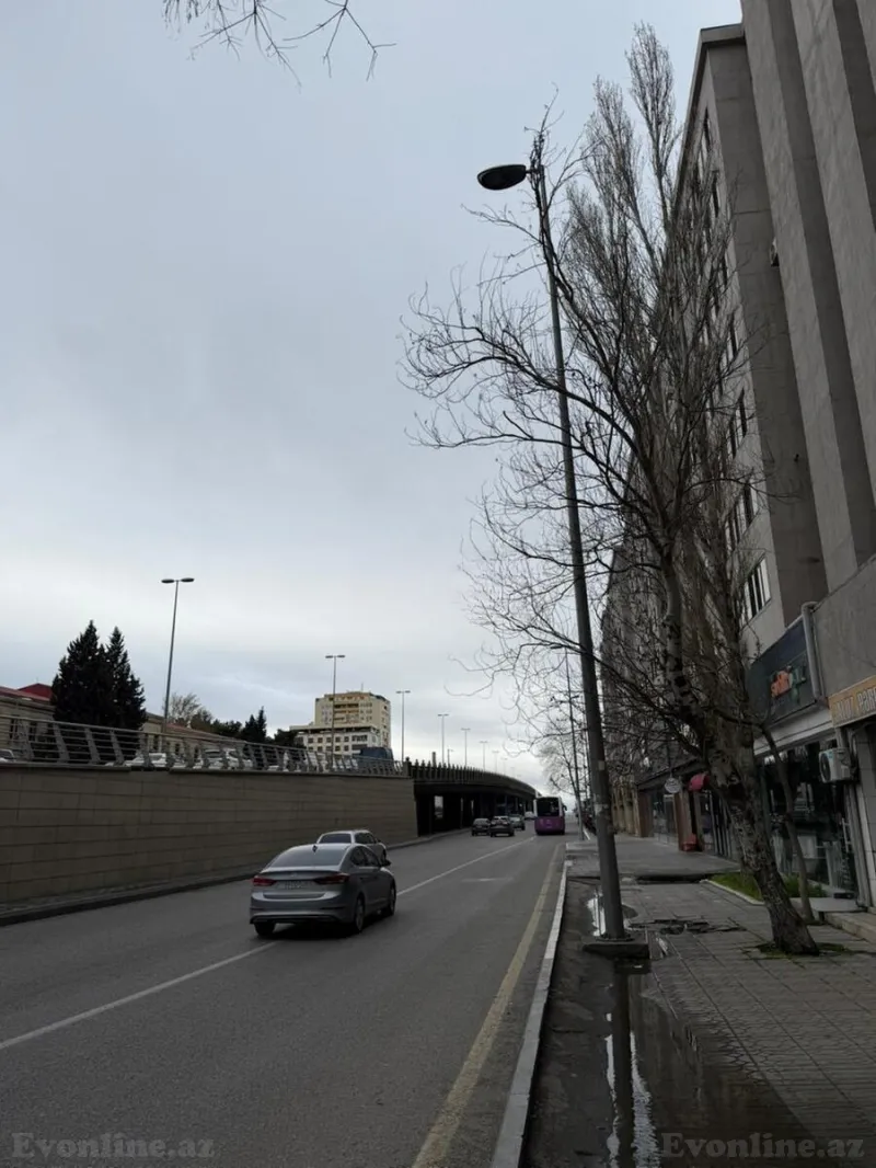 Obyekt 190 m² 8 Noyabr m. Kirayə verilir