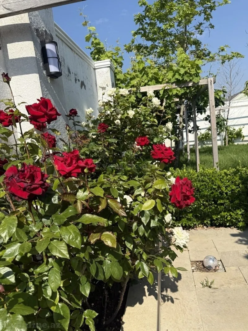 Satılır 4 otaqlı Həyət evi 120 m² Novxanı - şəkil 21