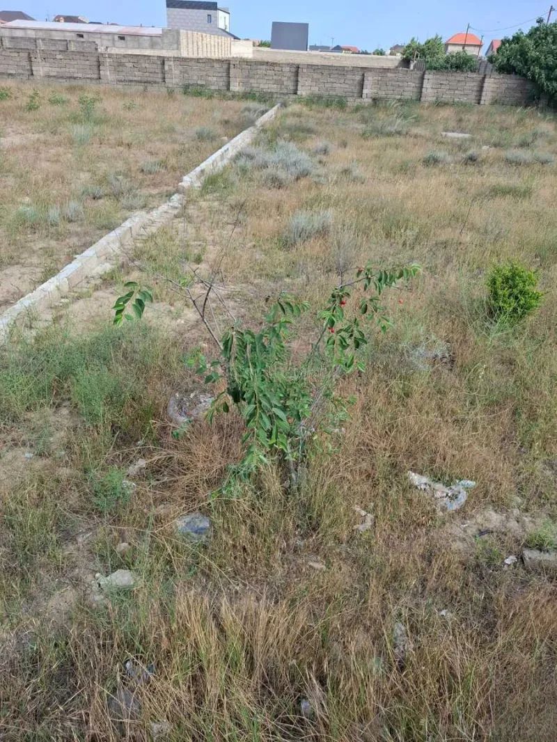 Satılır Torpaq 6 sot Qala - şəkil 5