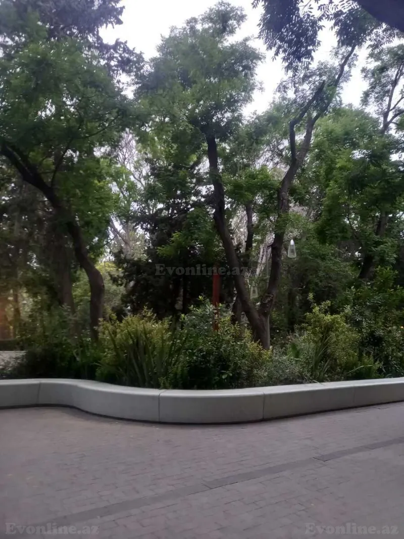 2 otaqlı Mənzil 42 m² Sahil m. Kirayə verilir