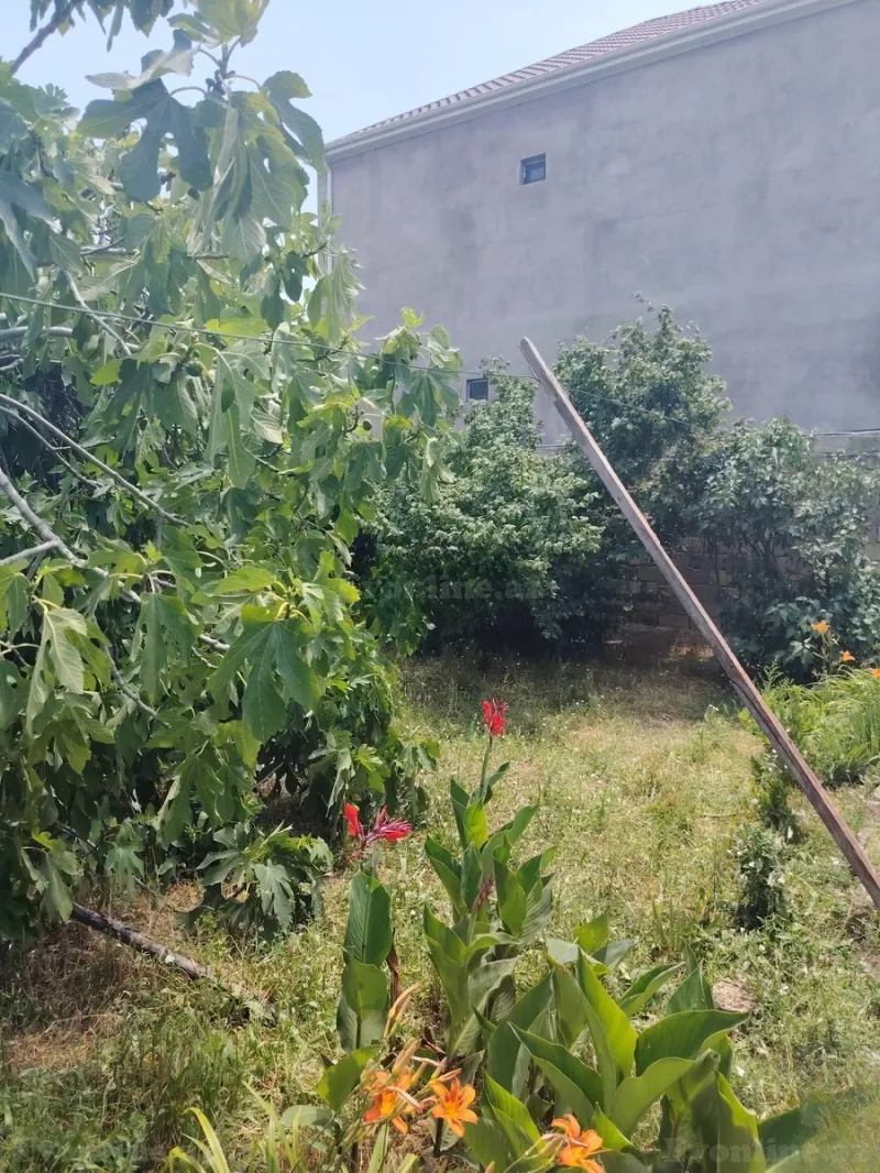 Satılır Torpaq 5 sot Mehdiabad - şəkil 2