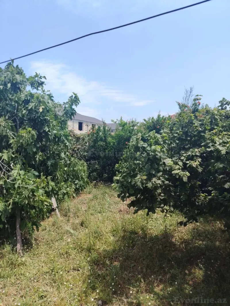 Satılır Torpaq 5 sot Mehdiabad - şəkil 3