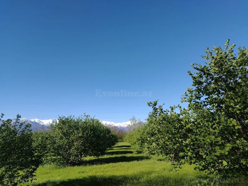 Torpaq Qəbələ Satılır