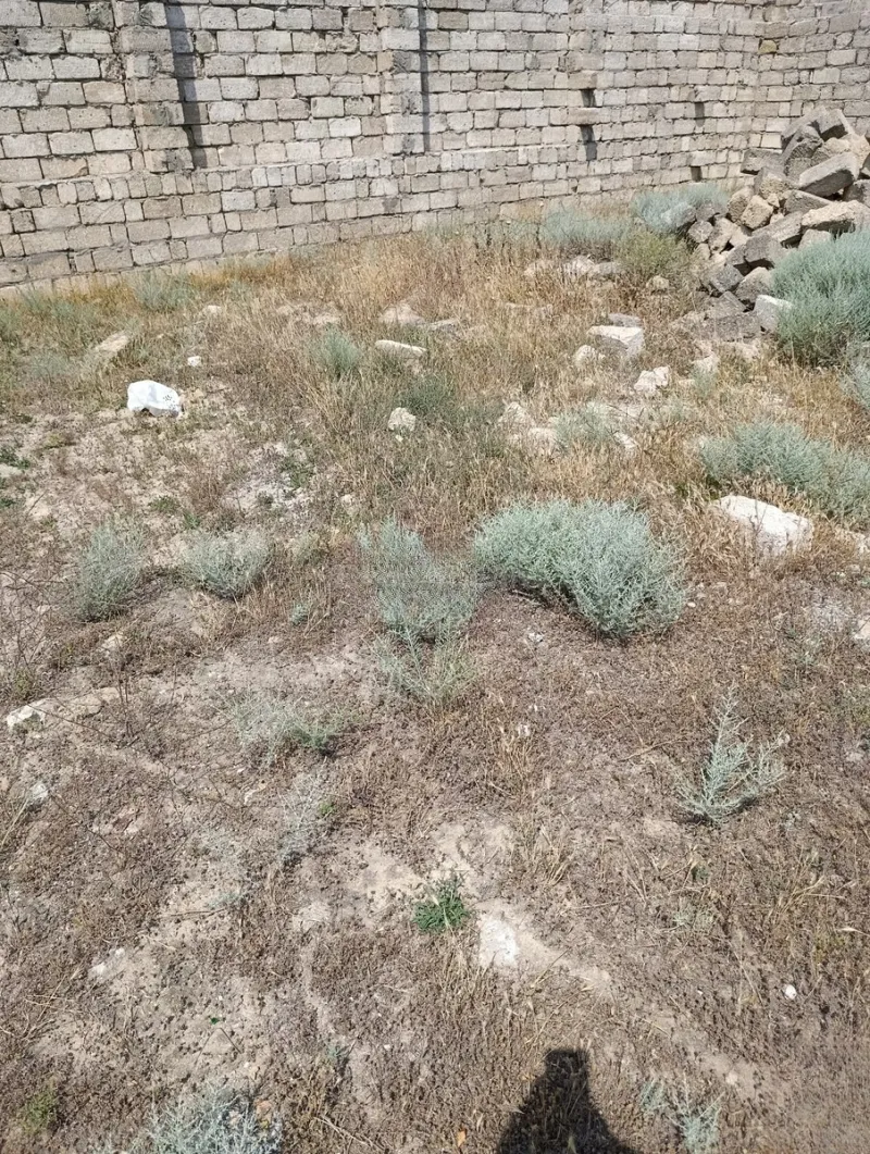 Satılır Torpaq 5 sot Türkan - şəkil 2