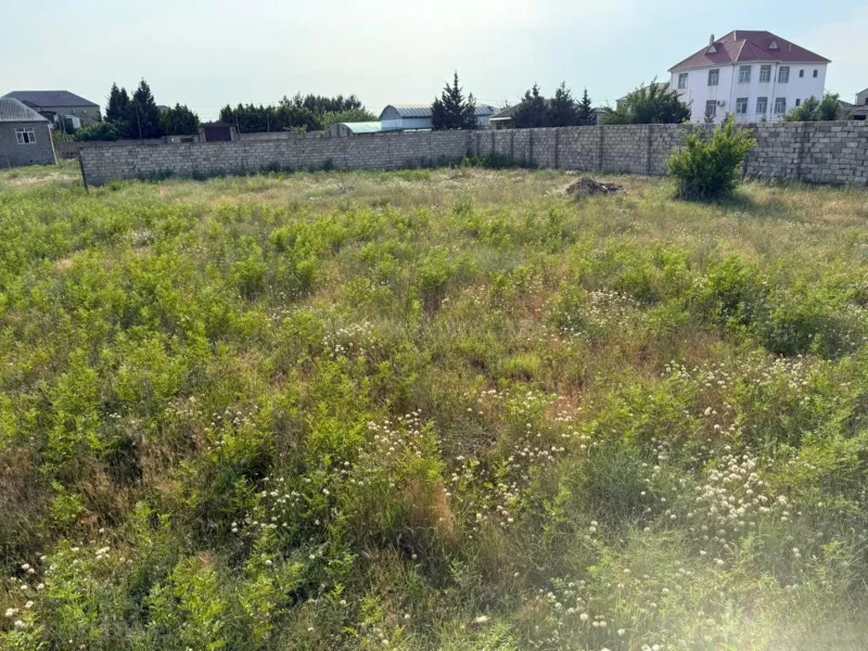 Satılır Torpaq 12 sot Nardaran - şəkil 4