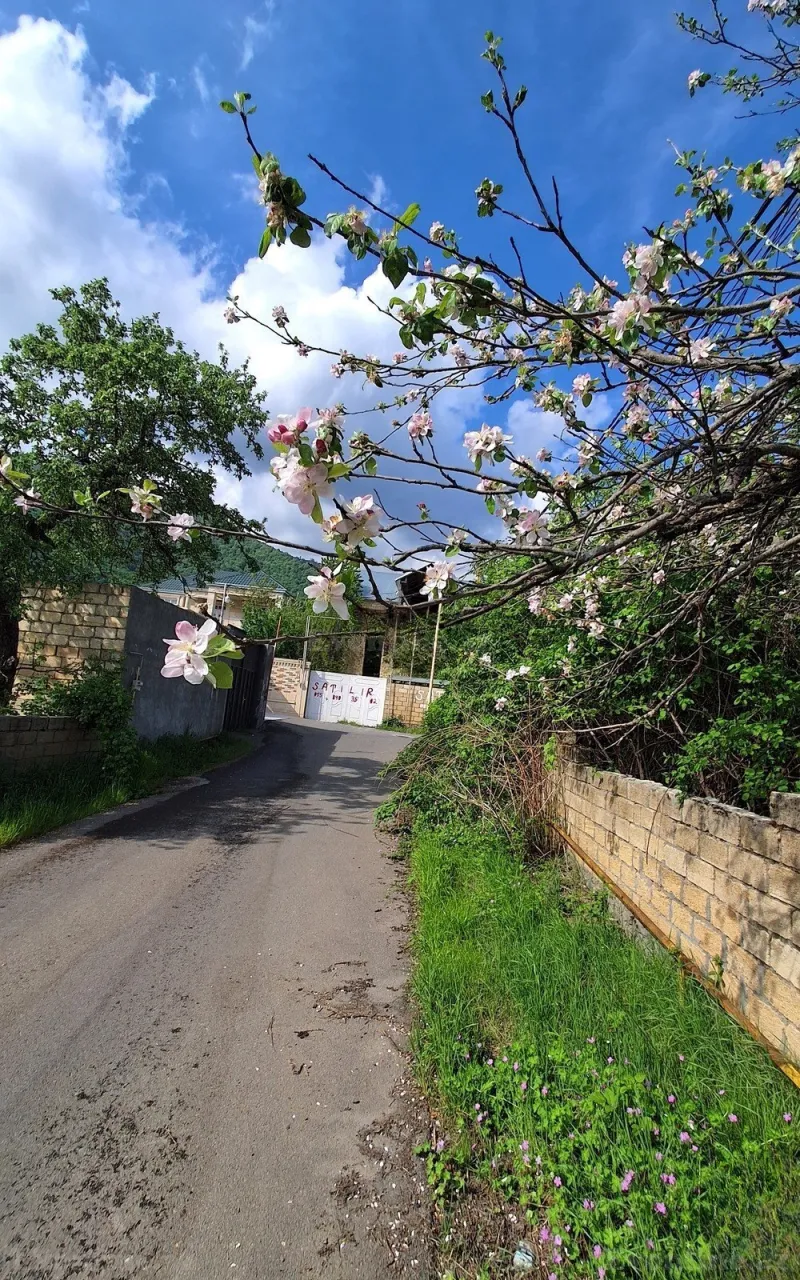 Satılır 7 otaqlı Həyət evi 260 m² Qəbələ - şəkil 12