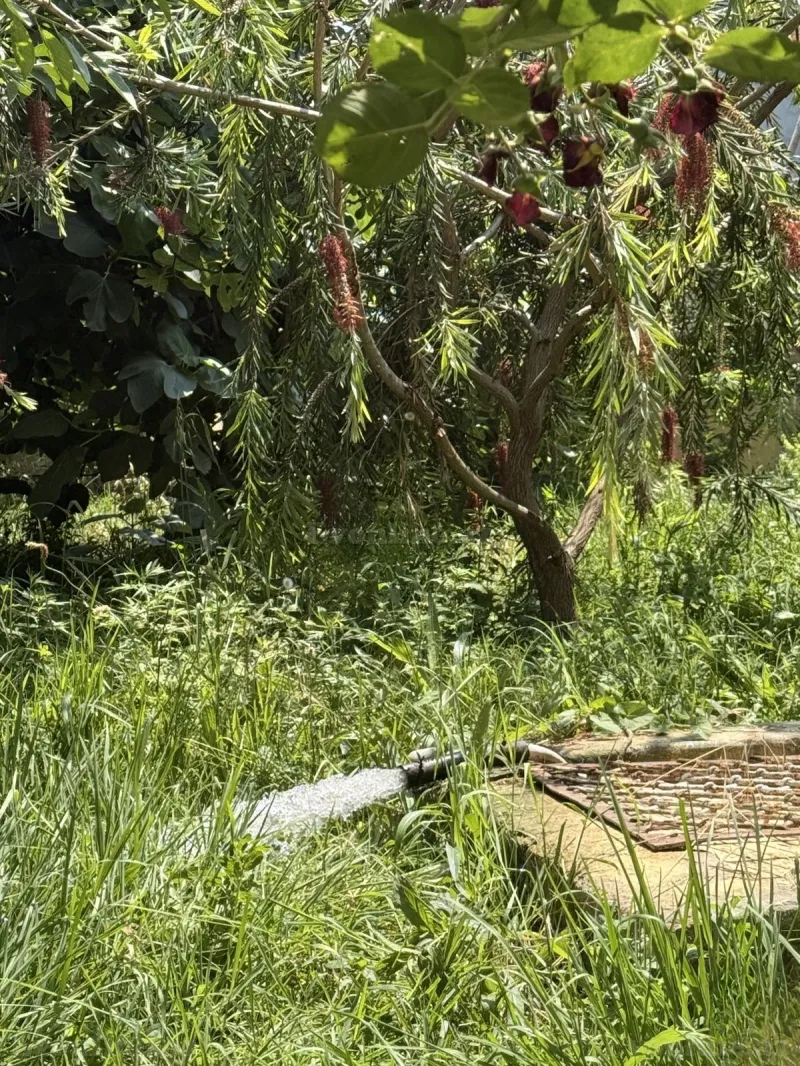 Satılır 4 otaqlı Həyət evi 120 m² Binə - şəkil 4