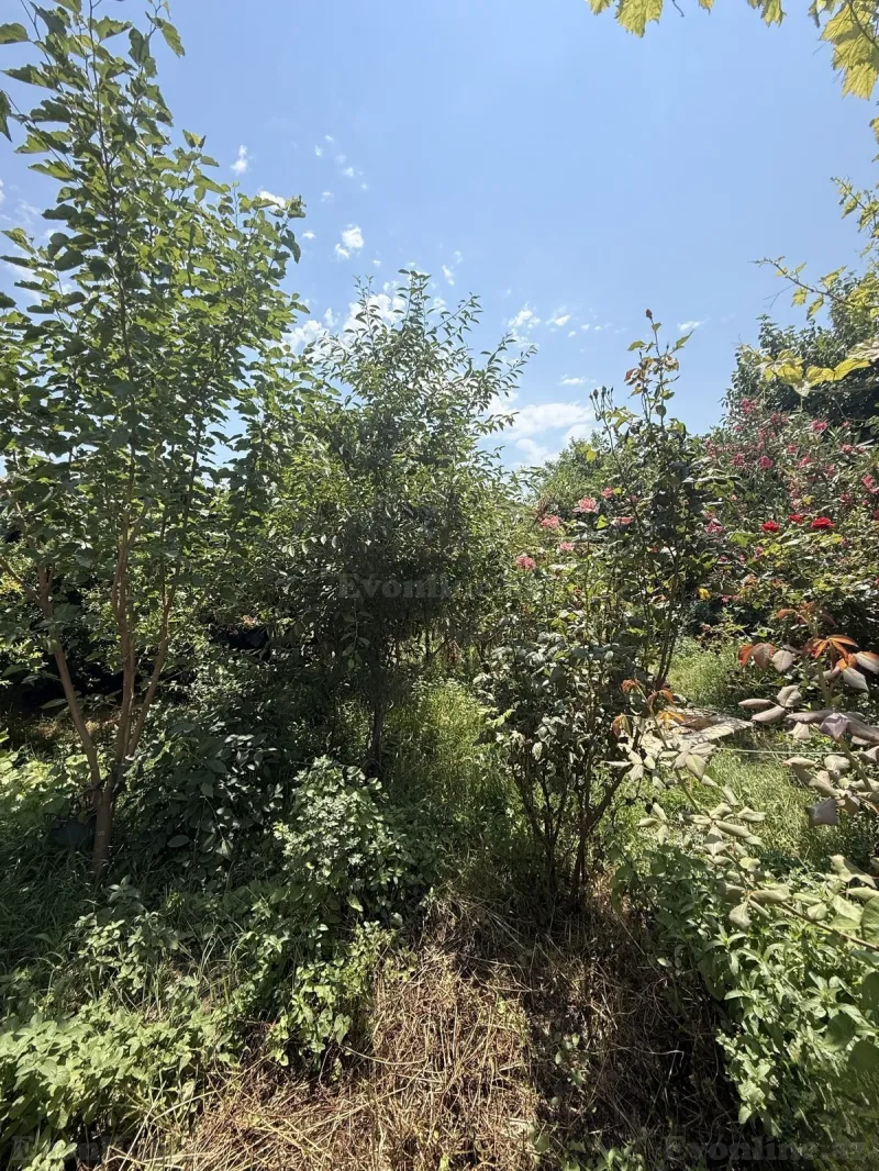 Satılır 4 otaqlı Həyət evi 120 m² Binə - şəkil 5