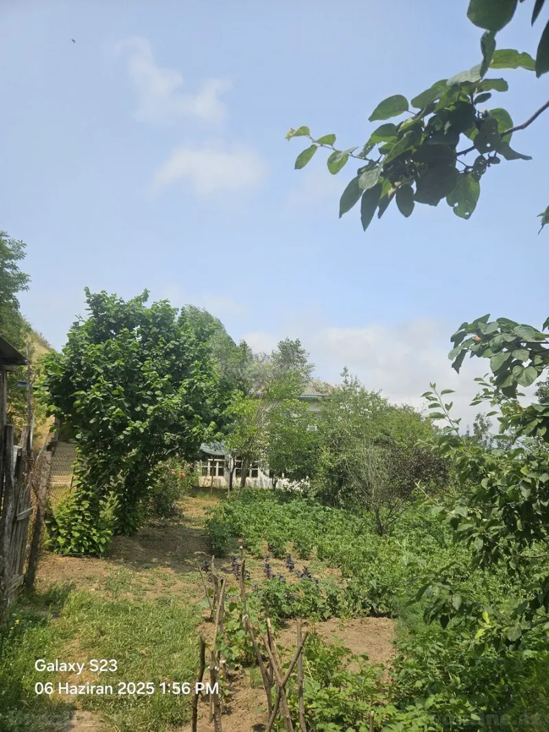 Satılır 5 otaqlı Həyət evi 196 m² Lerik - şəkil 4