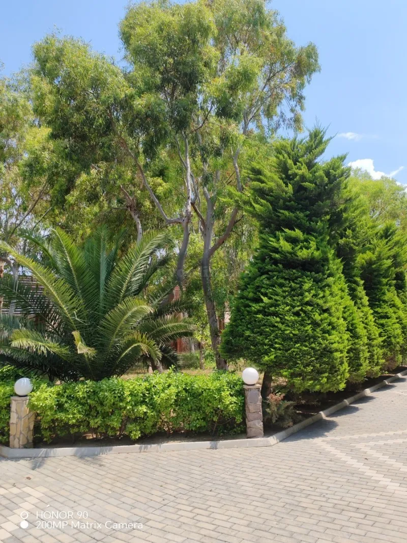 Satılır 5 otaqlı Həyət evi 380 m² Türkan - şəkil 3