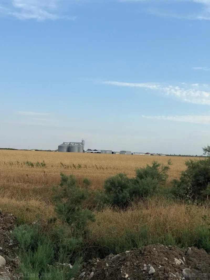 Satılır Torpaq 7500 sot Ağsu - şəkil 4