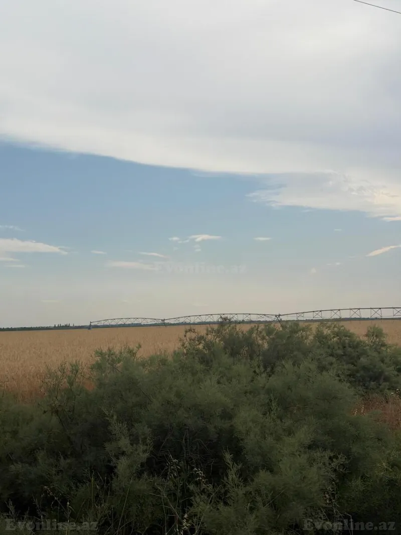 Satılır Torpaq 7500 sot Ağsu - şəkil 10