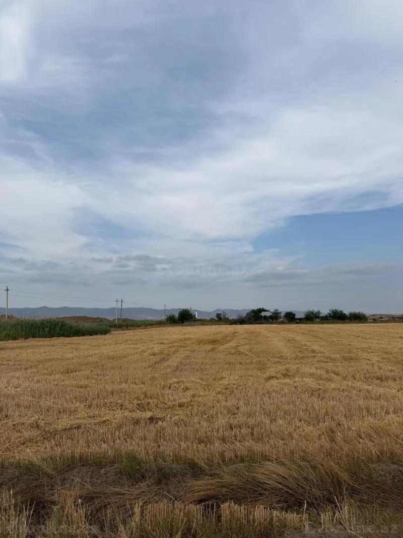 Satılır Torpaq 7500 sot Ağsu - şəkil 13