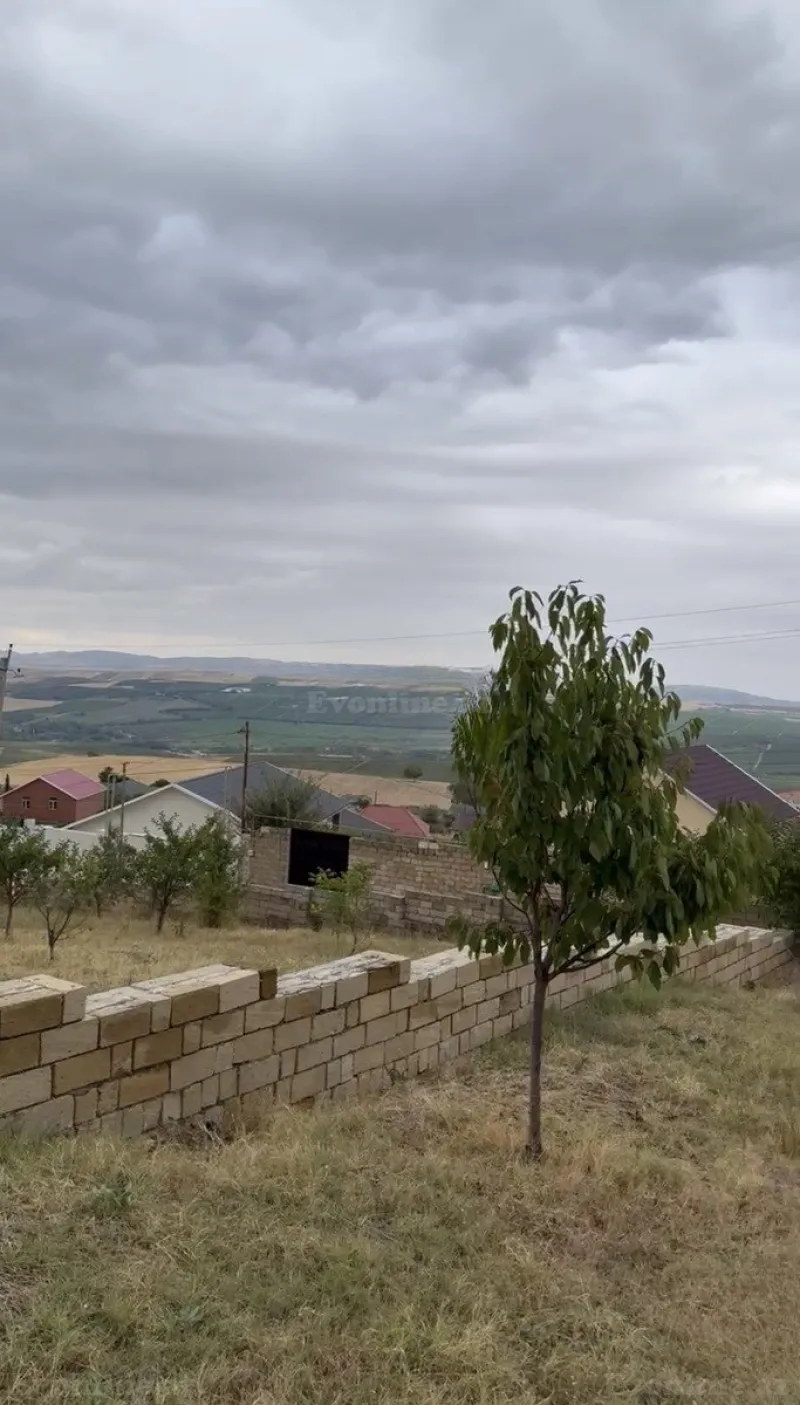 Satılır Torpaq 12 sot Şamaxı
