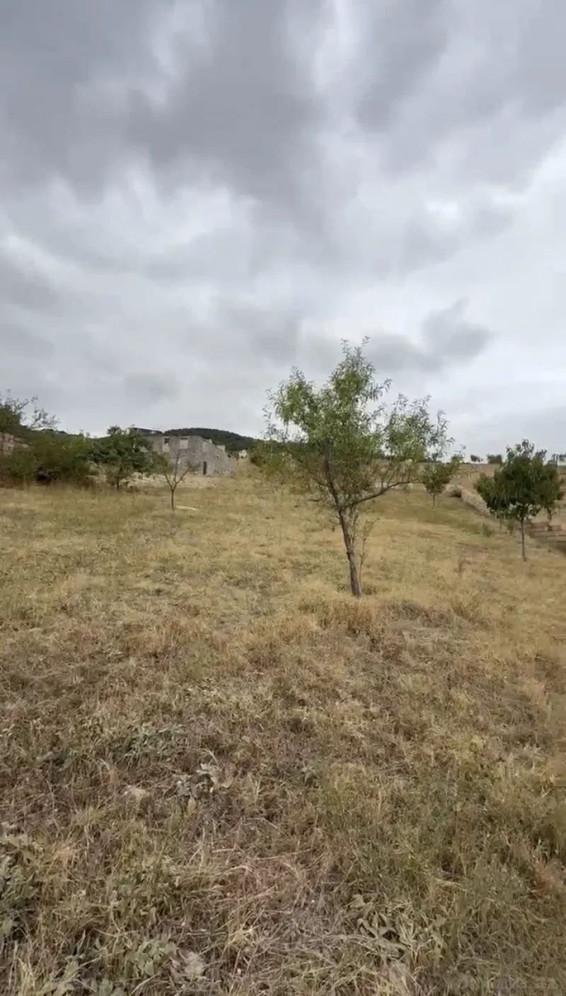 Satılır Torpaq 12 sot Şamaxı - şəkil 3