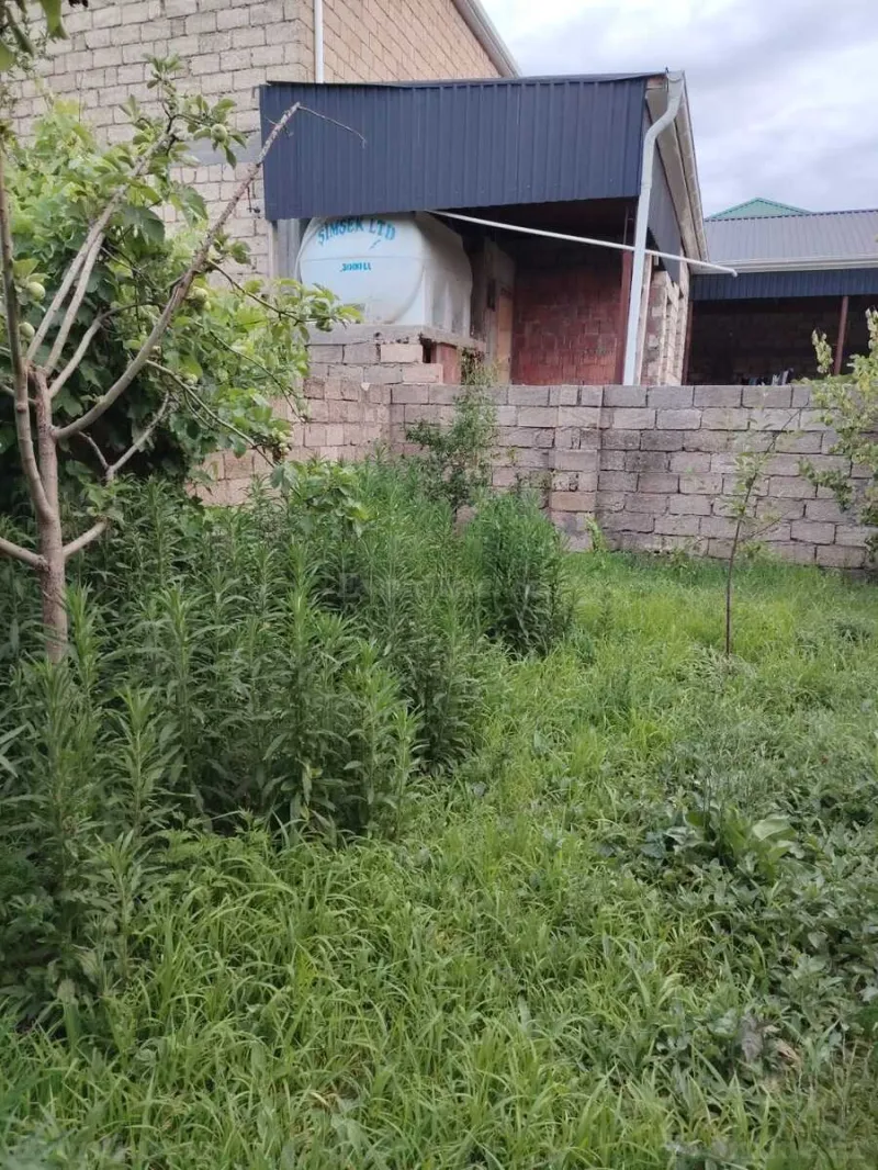 Satılır Torpaq 12 sot Nardaran - şəkil 2