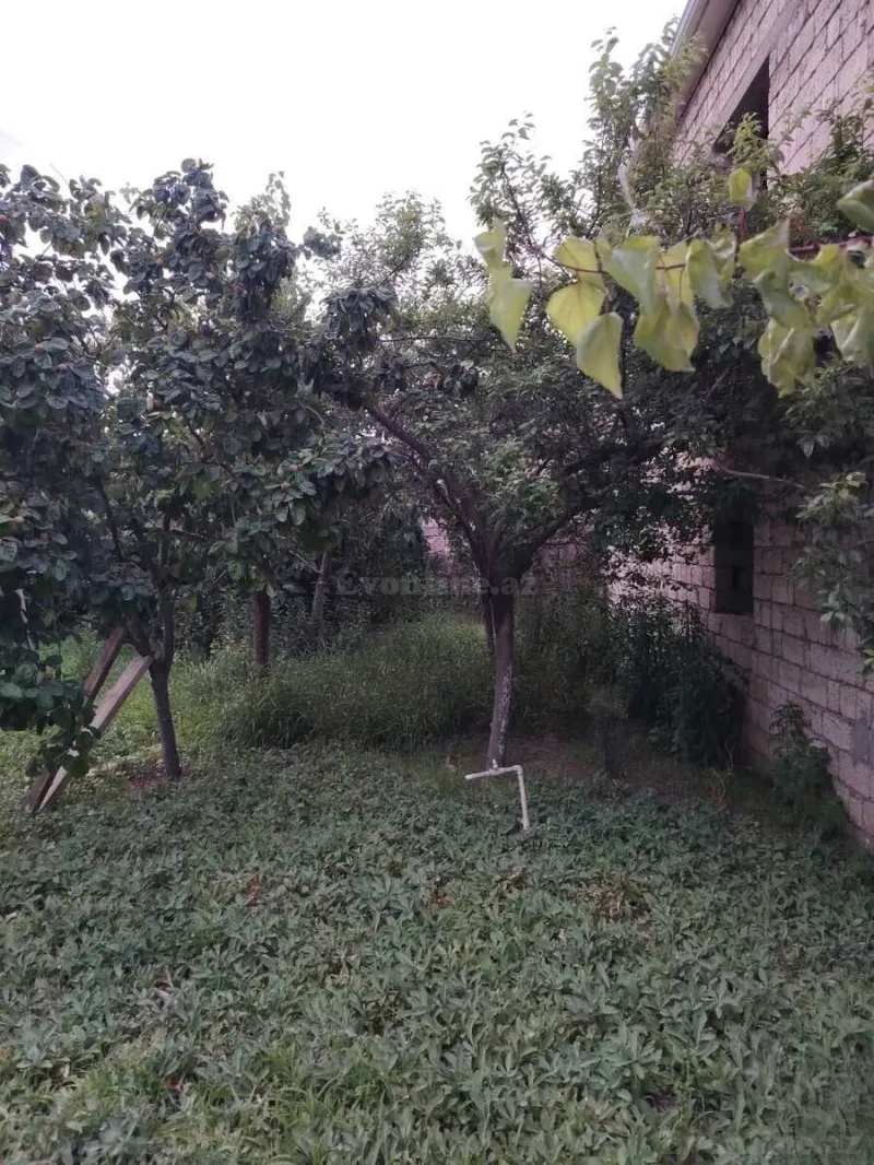 Satılır Torpaq 5 sot Dübəndi - şəkil 2