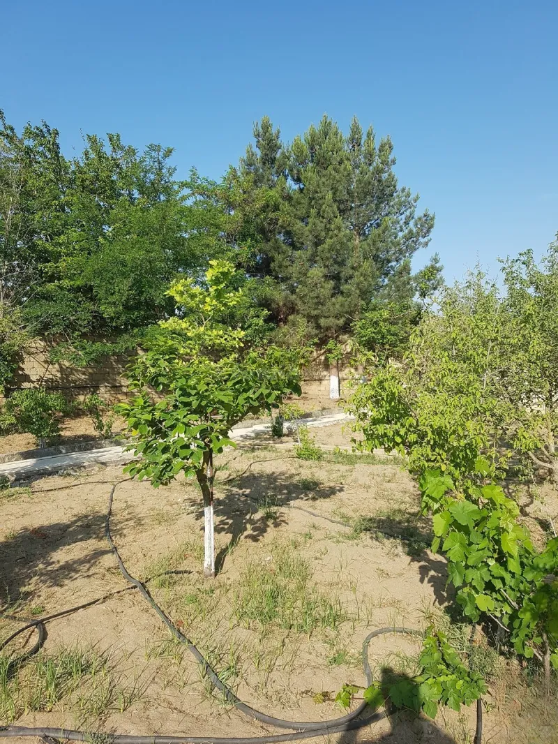 Kirayə verilir 4 otaqlı Həyət evi 200 m² Novxanı - şəkil 15