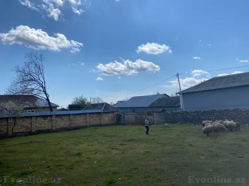 Satılır Torpaq 5.6 sot Qəbələ