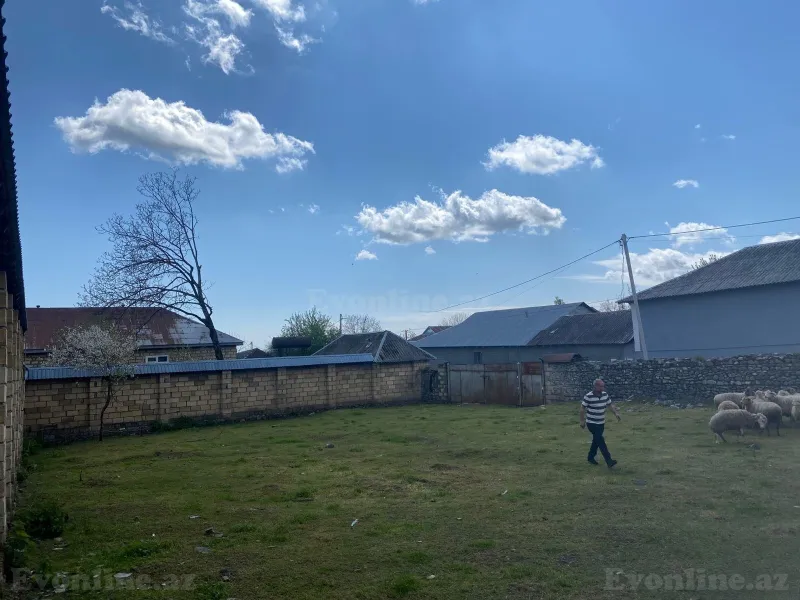 Satılır Torpaq 5.6 sot Qəbələ - şəkil 3