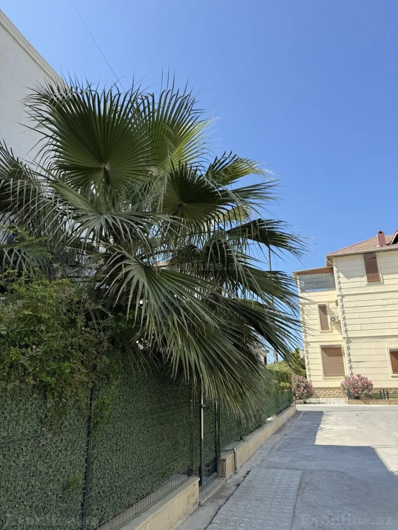 Kirayə verilir 4 otaqlı Həyət evi 200 m² Buzovna - şəkil 6