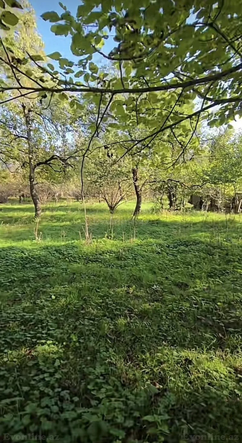 Satılır Torpaq 27 sot Qəbələ