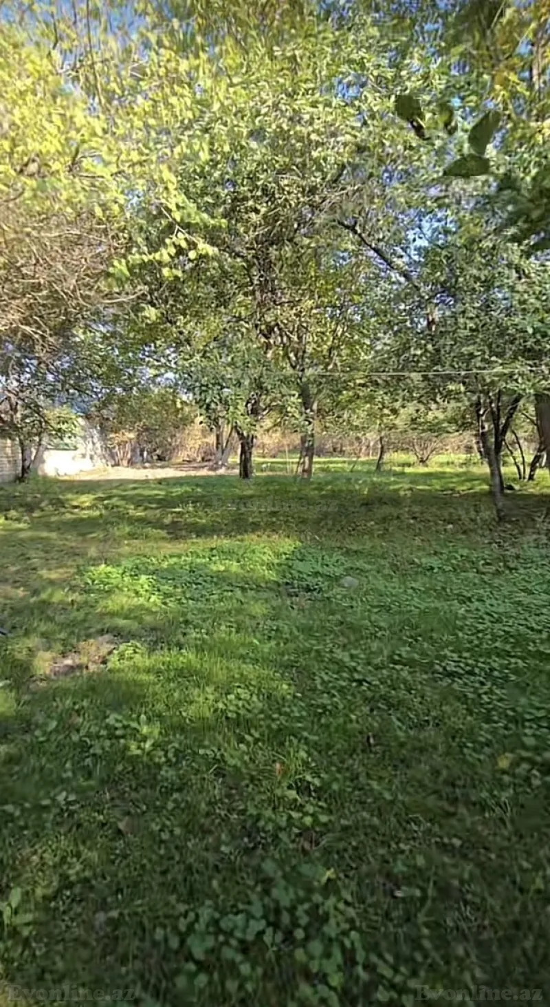Satılır Torpaq 27 sot Qəbələ - şəkil 2