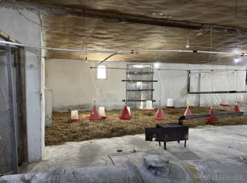 Obyekt 600 m² Abşeron r. Kirayə verilir