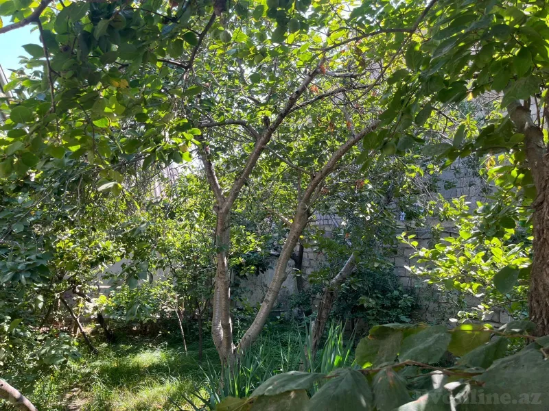 Satılır 4 otaqlı Həyət evi 100 m² Masazır - şəkil 19