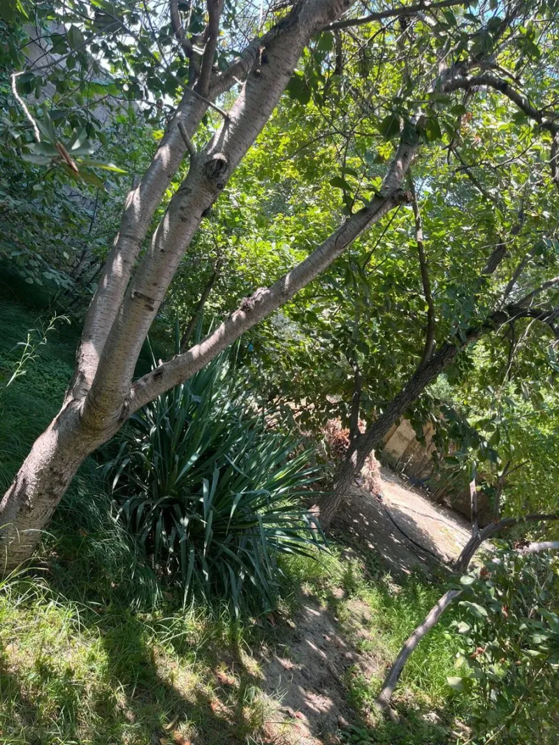 Satılır 4 otaqlı Həyət evi 100 m² Masazır - şəkil 20