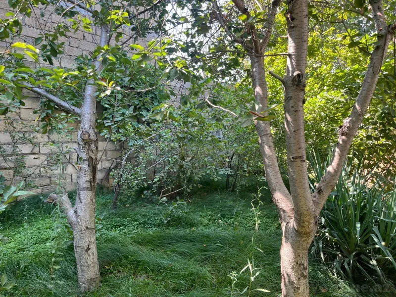 Satılır 4 otaqlı Həyət evi 100 m² Masazır - şəkil 21