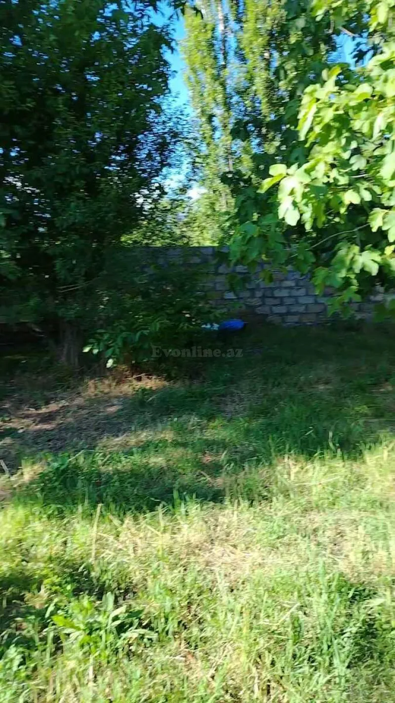 Satılır Torpaq 13 sot Şəki - şəkil 2