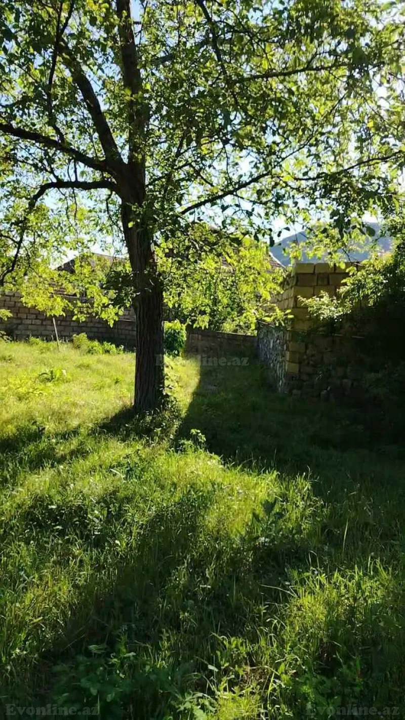 Satılır Torpaq 13 sot Şəki - şəkil 18
