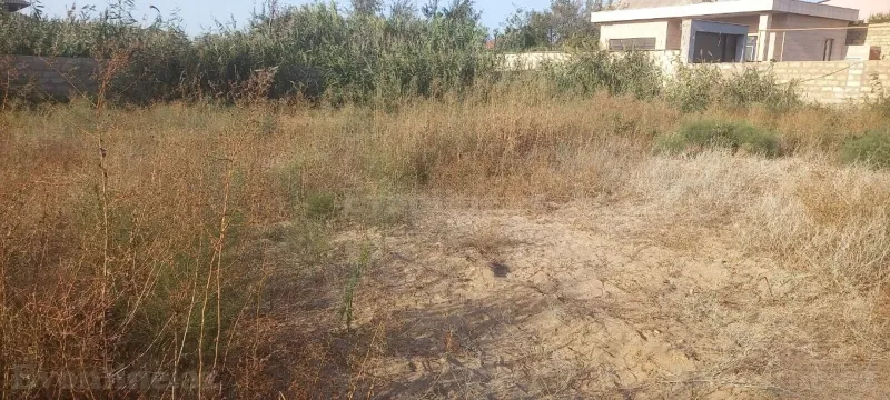 Satılır Torpaq 6.5 sot Novxanı - şəkil 3