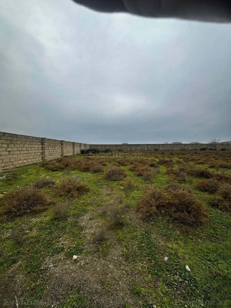 Satılır Torpaq 8 sot Neftçala