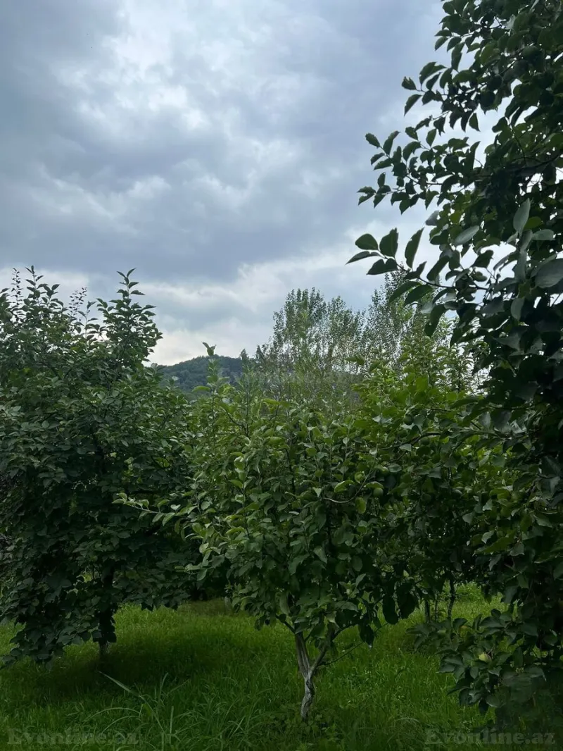 Kirayə verilir 4 otaqlı Həyət evi 135 m² Qəbələ - şəkil 14