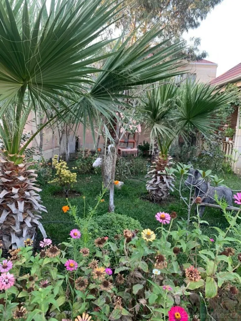 Satılır 7 otaqlı Həyət evi 298 m² Azadlıq prospekti m. - şəkil 21
