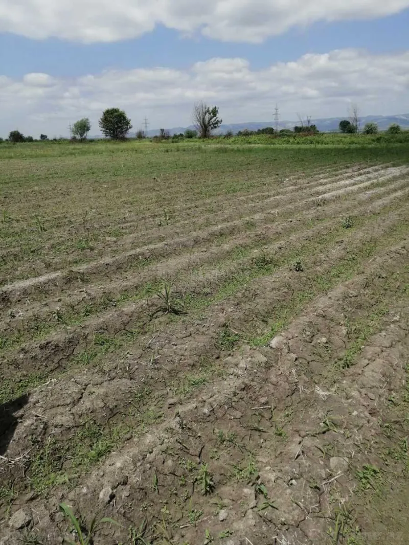 Satılır Torpaq 320 sot Ağdaş