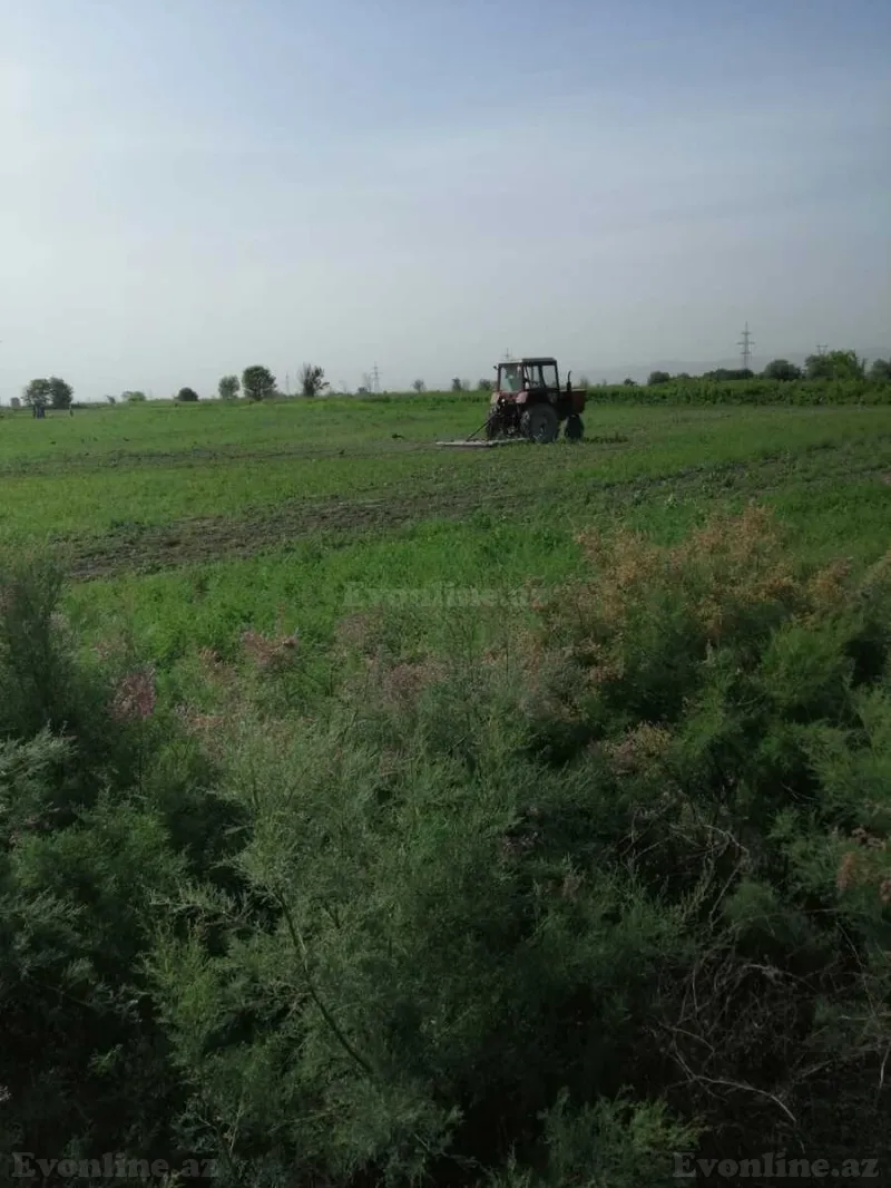 Satılır Torpaq 320 sot Ağdaş - şəkil 3
