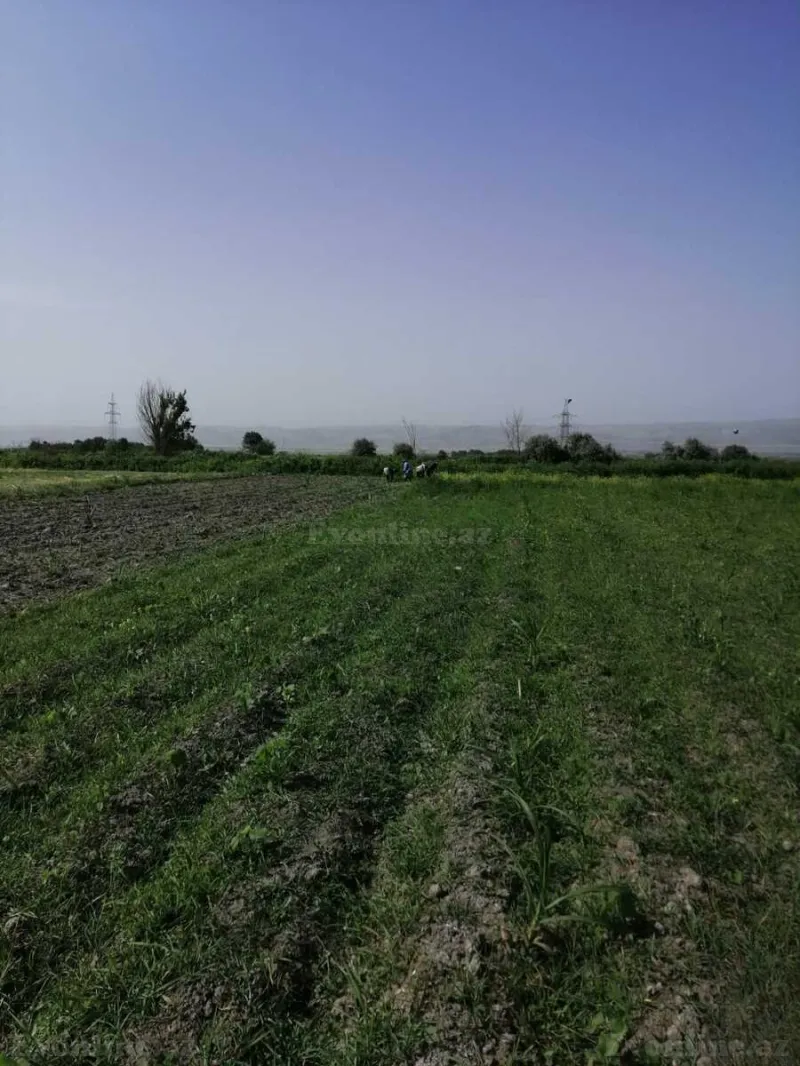 Satılır Torpaq 320 sot Ağdaş - şəkil 4