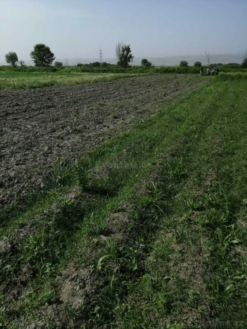 Satılır Torpaq 320 sot Ağdaş - şəkil 5