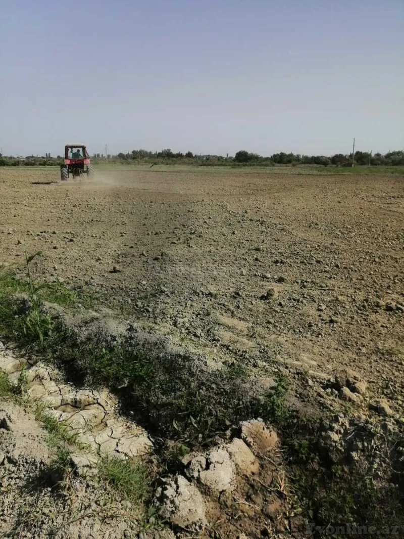Satılır Torpaq 320 sot Ağdaş - şəkil 6
