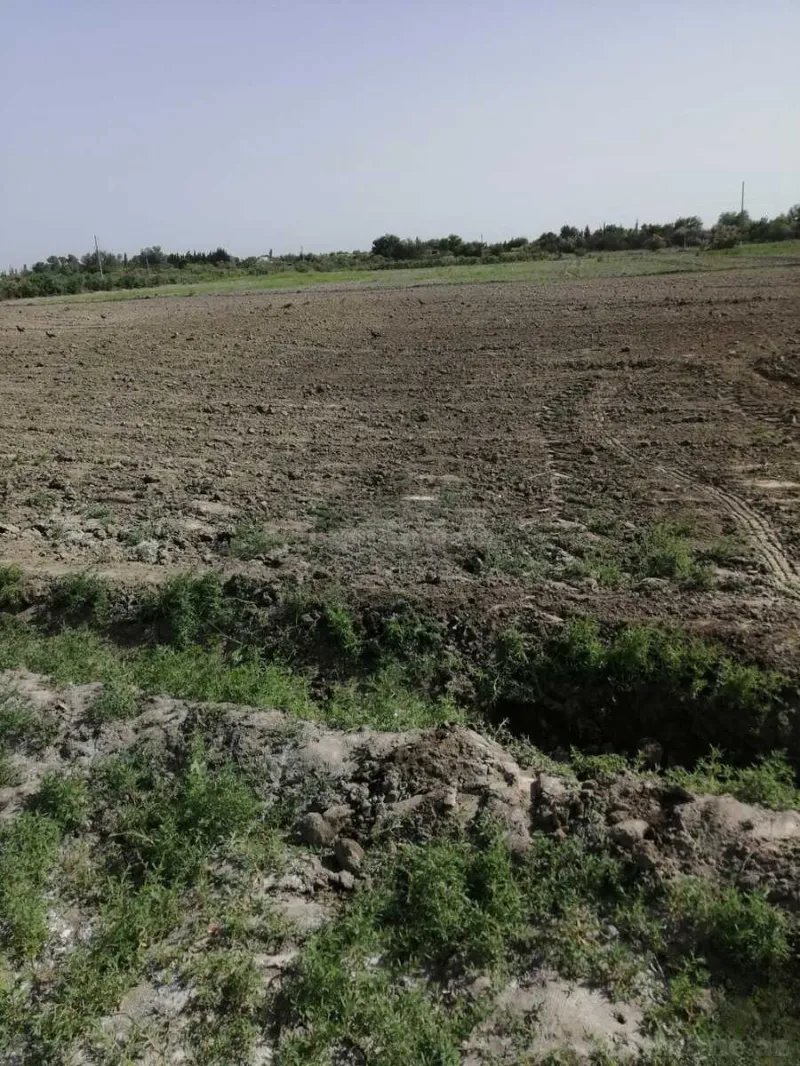 Satılır Torpaq 320 sot Ağdaş - şəkil 7