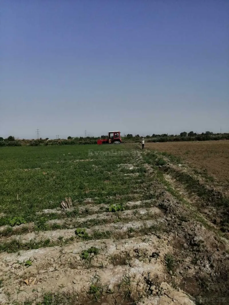 Satılır Torpaq 320 sot Ağdaş - şəkil 8