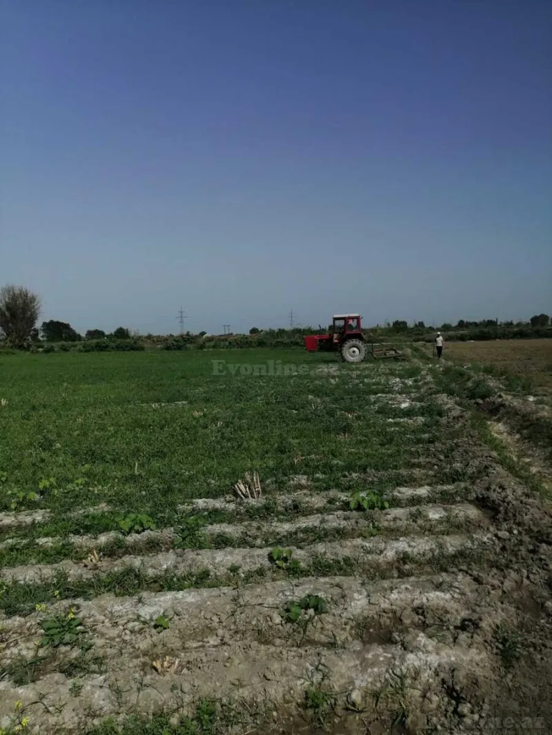 Satılır Torpaq 320 sot Ağdaş - şəkil 9