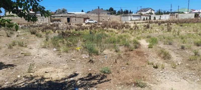 Satılır Torpaq 12 sot Albalılıq