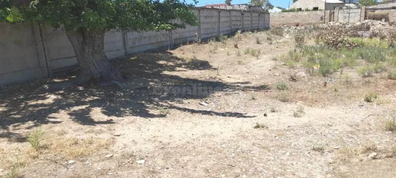 Satılır Torpaq 12 sot Albalılıq - şəkil 2