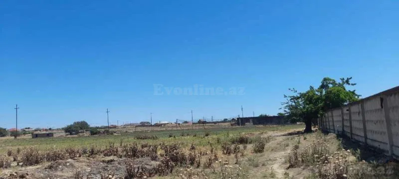 Satılır Torpaq 12 sot Albalılıq - şəkil 4