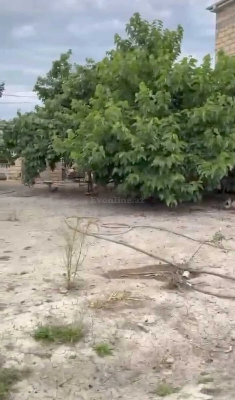 Torpaq Saray Satılır